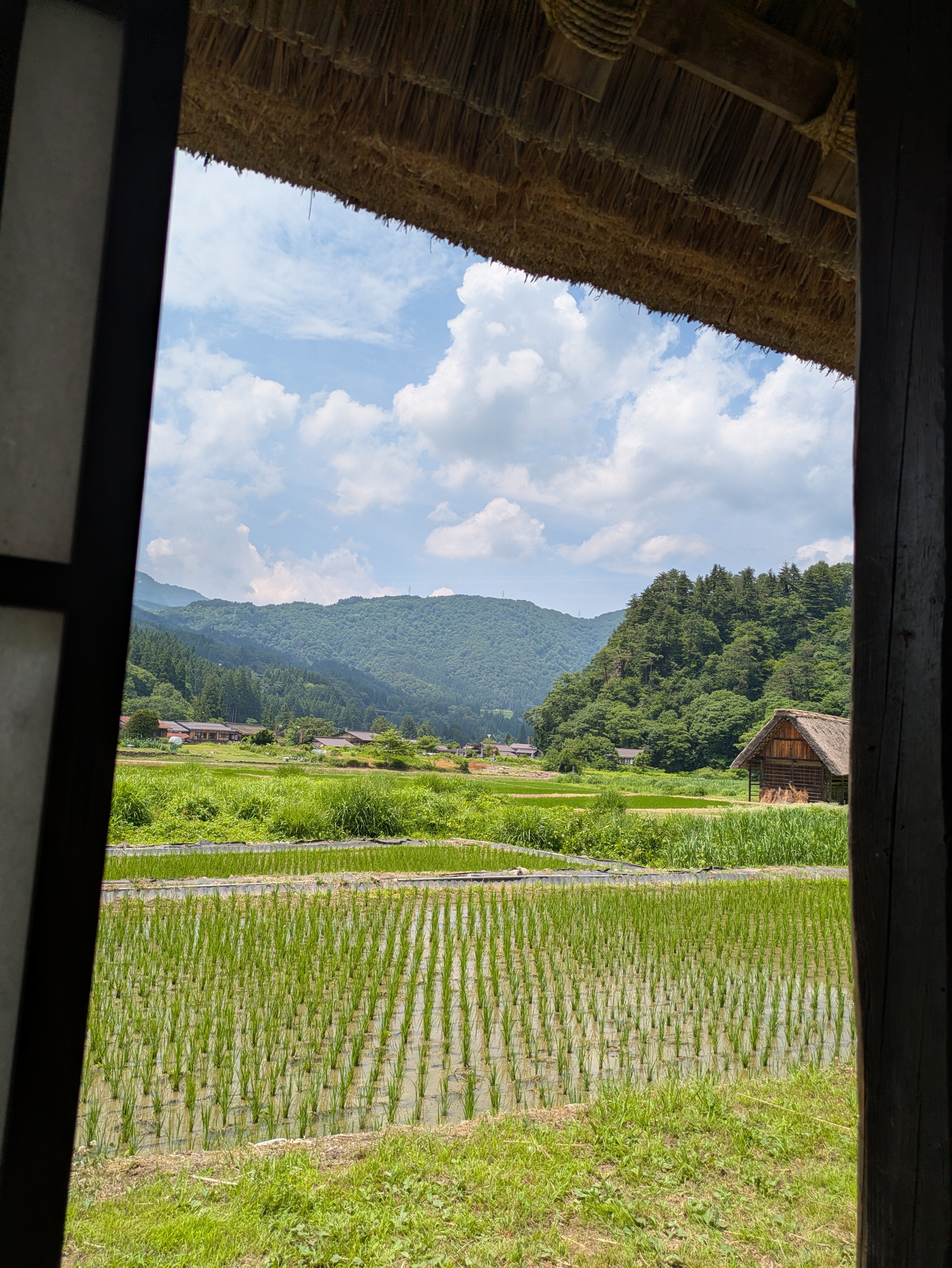 白川郷の田園と山々を望む風景